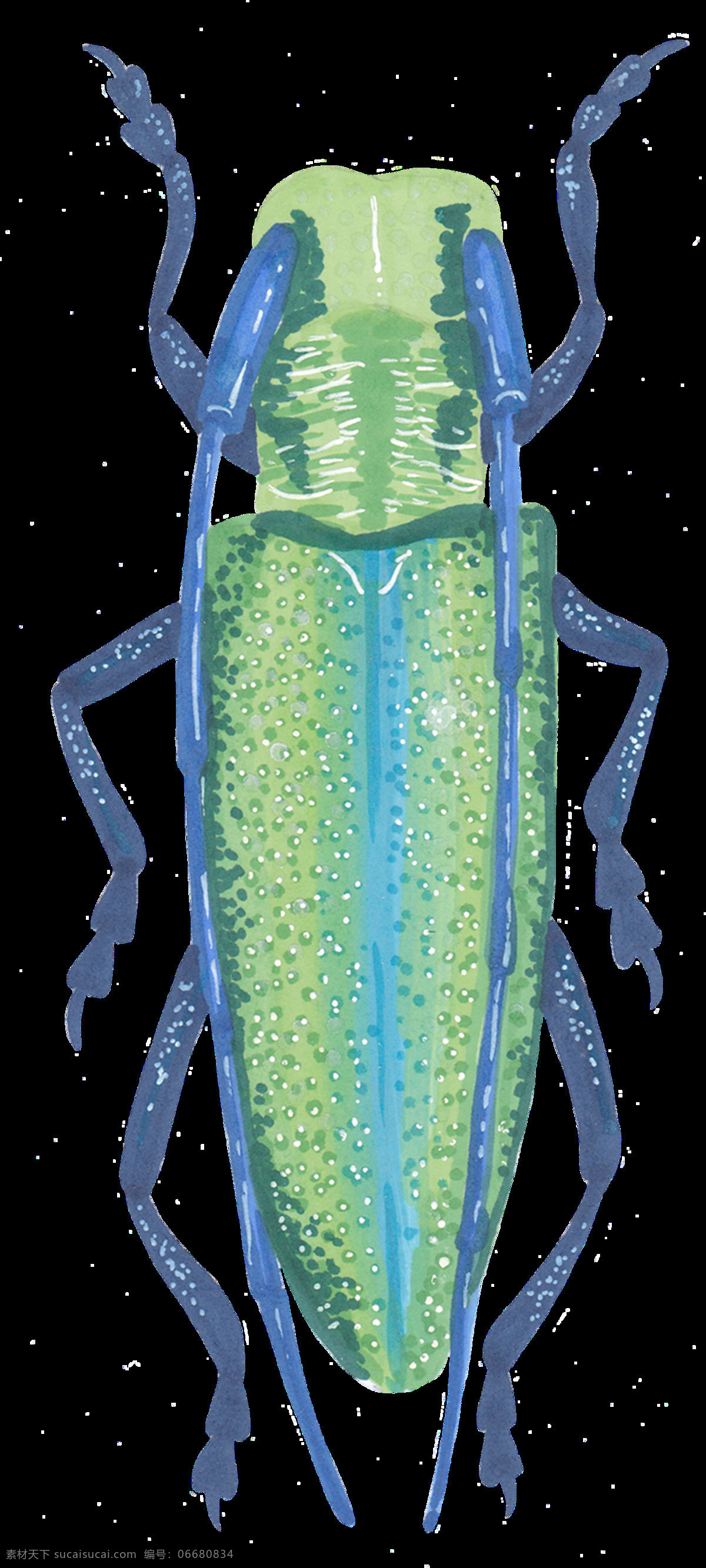 手绘 大型 卡通 昆虫 透明 透明素材 免扣素材 装饰图片 蓝色 绿色 抓子 触角