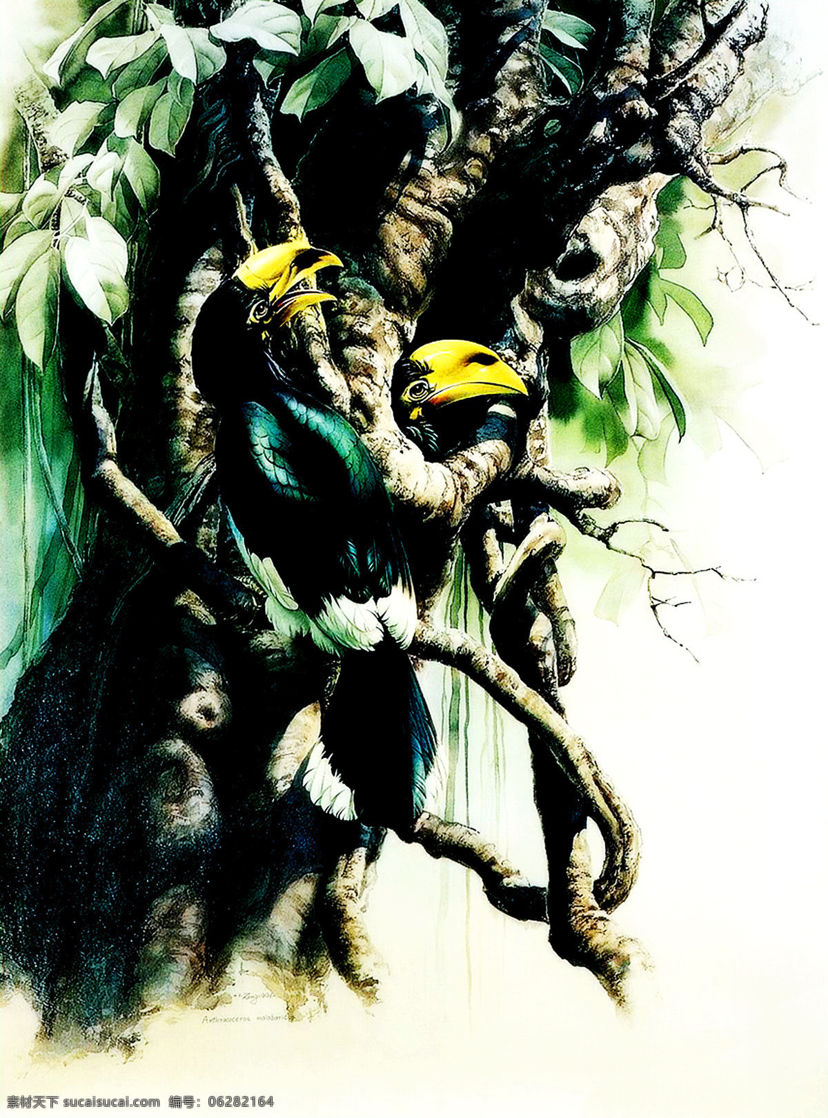 国画艺术 绘画 绘画书法 美术 鸟 书法 树木 绿荫 中国画 动物画 寇斑犀鸟 树叶 印章 国画集27 文化艺术 装饰素材 雕刻 图案