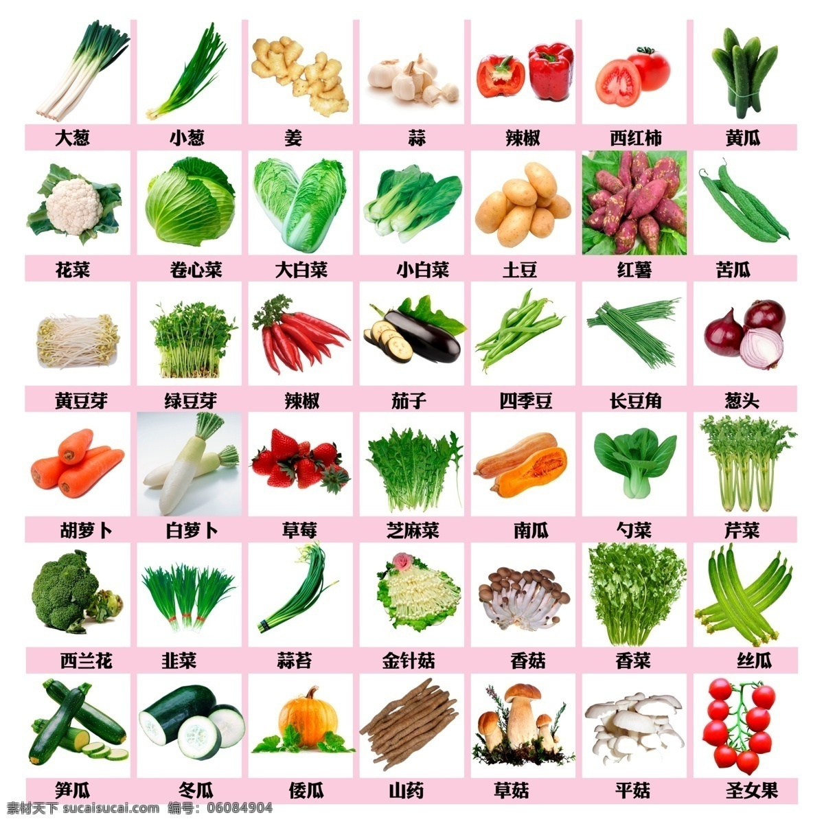 蔬菜素材 蔬菜 蔬菜展板 蔬菜海报 蔬菜文化 蔬菜挂画 蔬菜饮食 蔬菜营养 蔬菜超市 蔬菜市场 蔬菜广告 新鲜蔬菜 绿色蔬菜 蔬菜模板 蔬菜图片