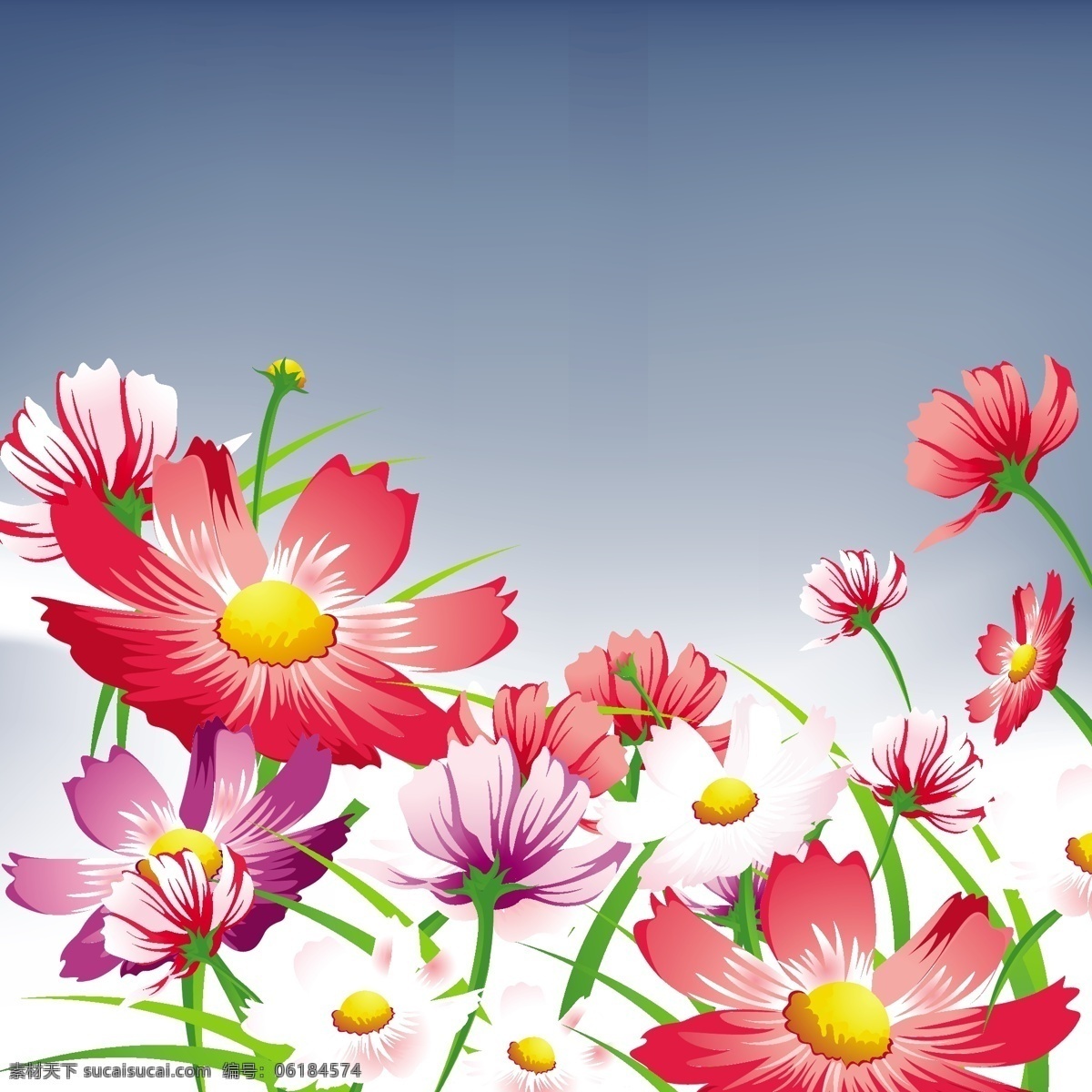 漂亮的花