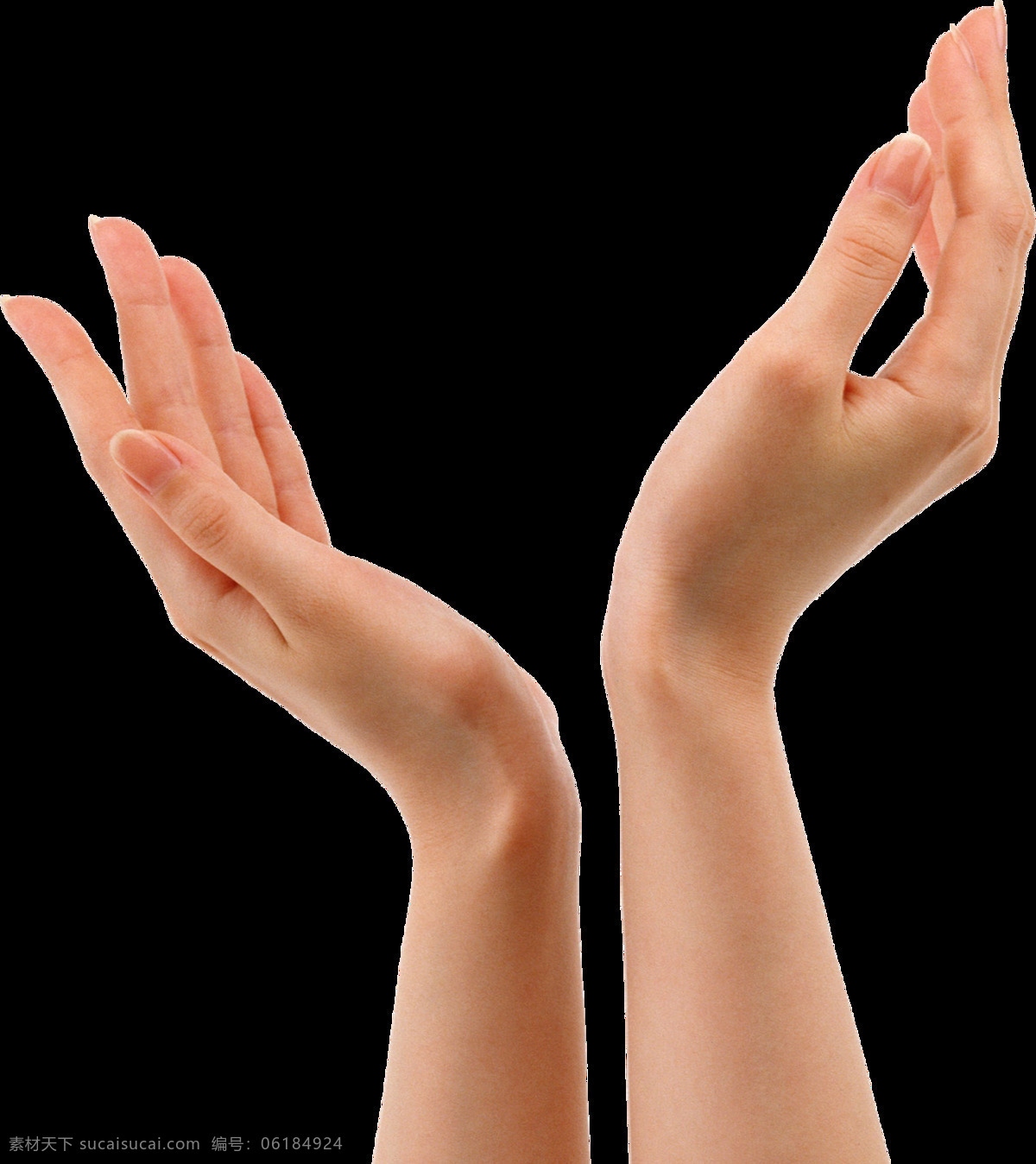 双手 接 东西 手势 免 抠 透明 手指方向图片 指向手势 胜利手势 超赞手势 加油手势 棒棒哒手势 打叉手势 手语图片 手势图片素材 手语图片素材