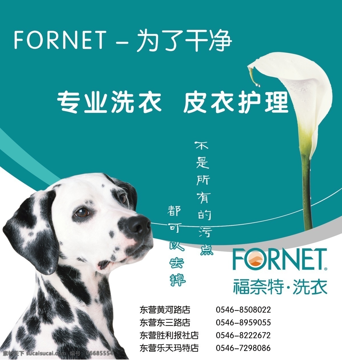 福奈特 宣传海报 斑点狗 马蹄莲 福奈特标志 蓝色背景 广告设计模板 源文件