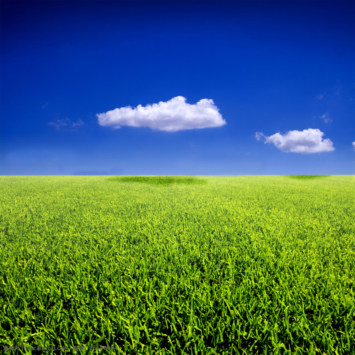 高清 风景 白云 背景素材 草地 草原 地产广告背景 地产设计素材 风光 高清素材 环境 蓝天 球场