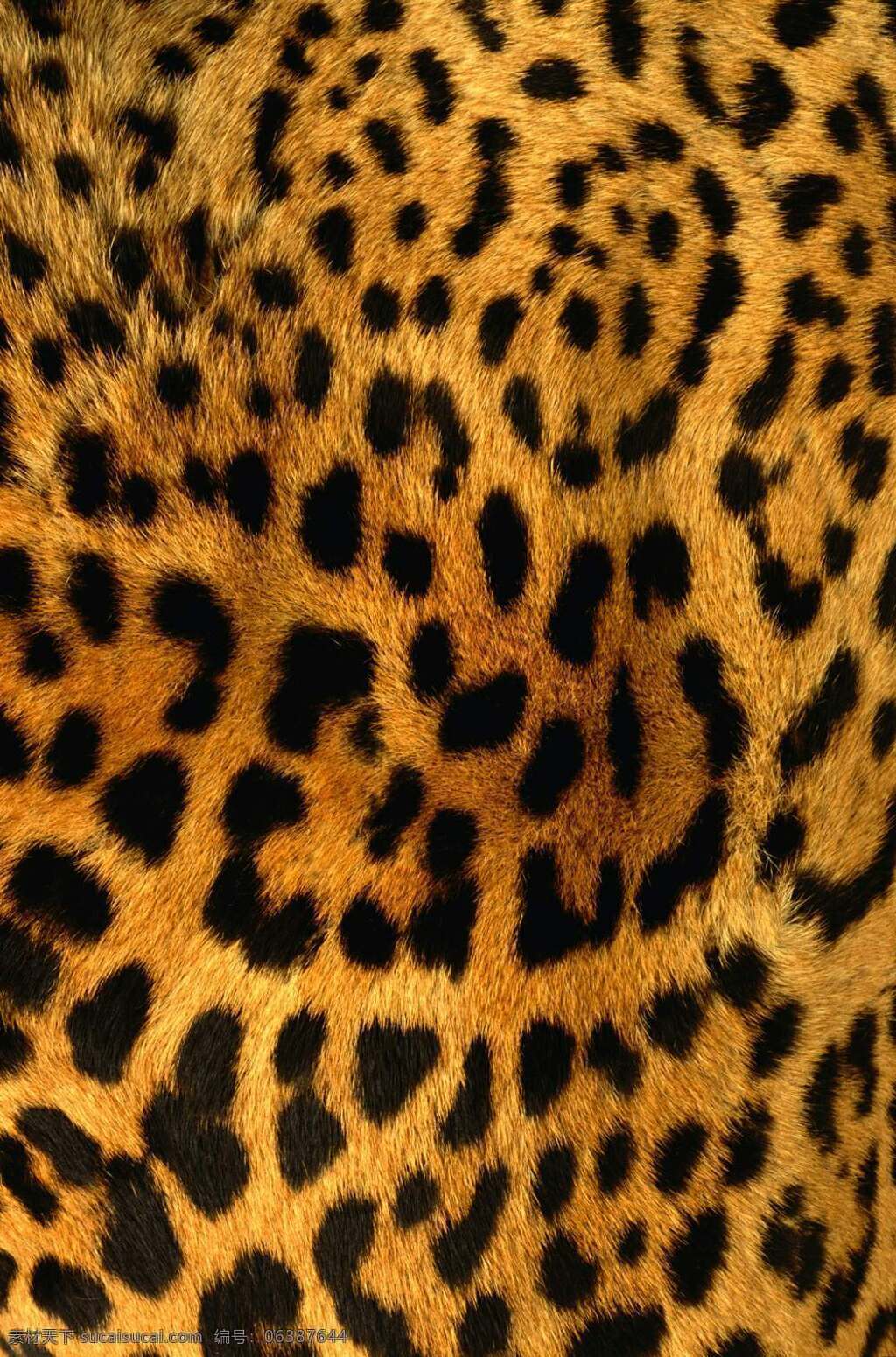 豹纹材质 豹纹贴图 动物皮毛材质 动物皮毛贴图 老虎皮毛材质 老虎皮毛贴图 底纹边框 背景底纹