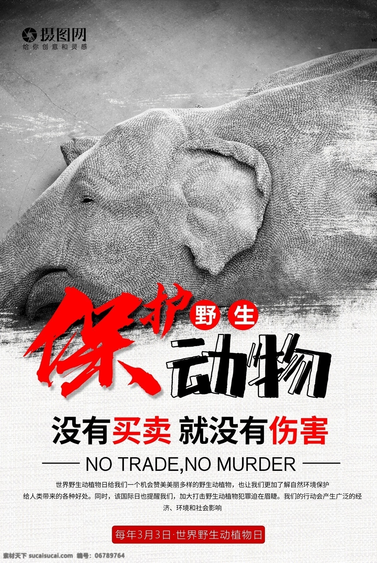 世界 野生 动植物 日 海报 保护野生动物 保护动物 植物 地球 建设美好家园 动物 保护动植物 公益 宣传 3月3日