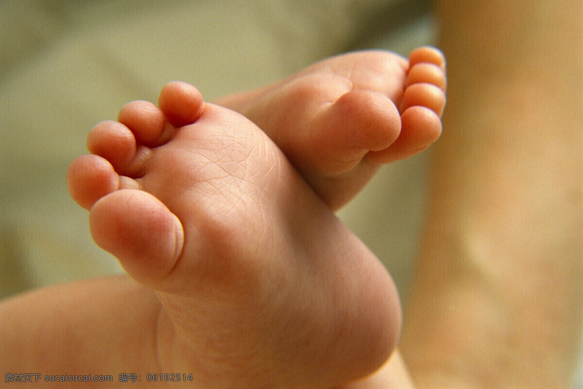 婴儿的脚丫 婴儿 脚丫 可爱 小脚 脚趾 新生儿 人物图库 儿童幼儿 摄影图库
