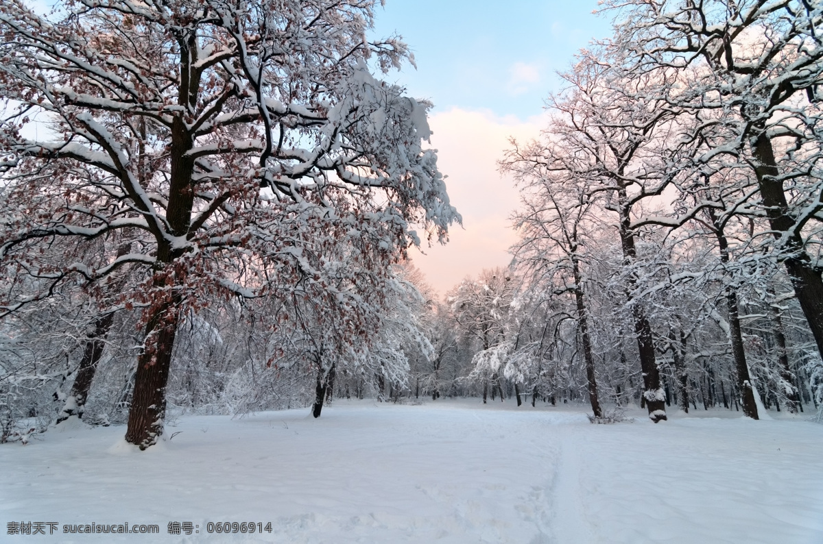美丽 树林 雪地 风景 冬天风景 树林风景 美丽公园风景 公园冬季风景 美丽雪景 雪地风景 风景摄影 山水风景 风景图片