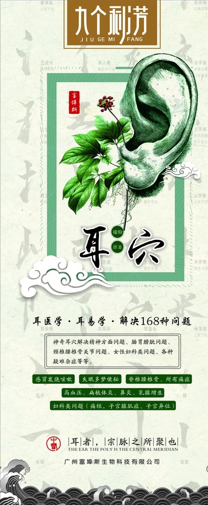 耳穴展架 九个秘芳 logo 人参花 绿叶 耳朵线条图 祥云 海浪 清晰背景 汉字 边框 线条 dm宣传单