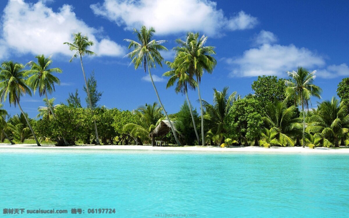 海滩 大海 大自然 海边 海水 蓝天 天空 滩 椰子树 自然 自然风景 自然景观 psd源文件