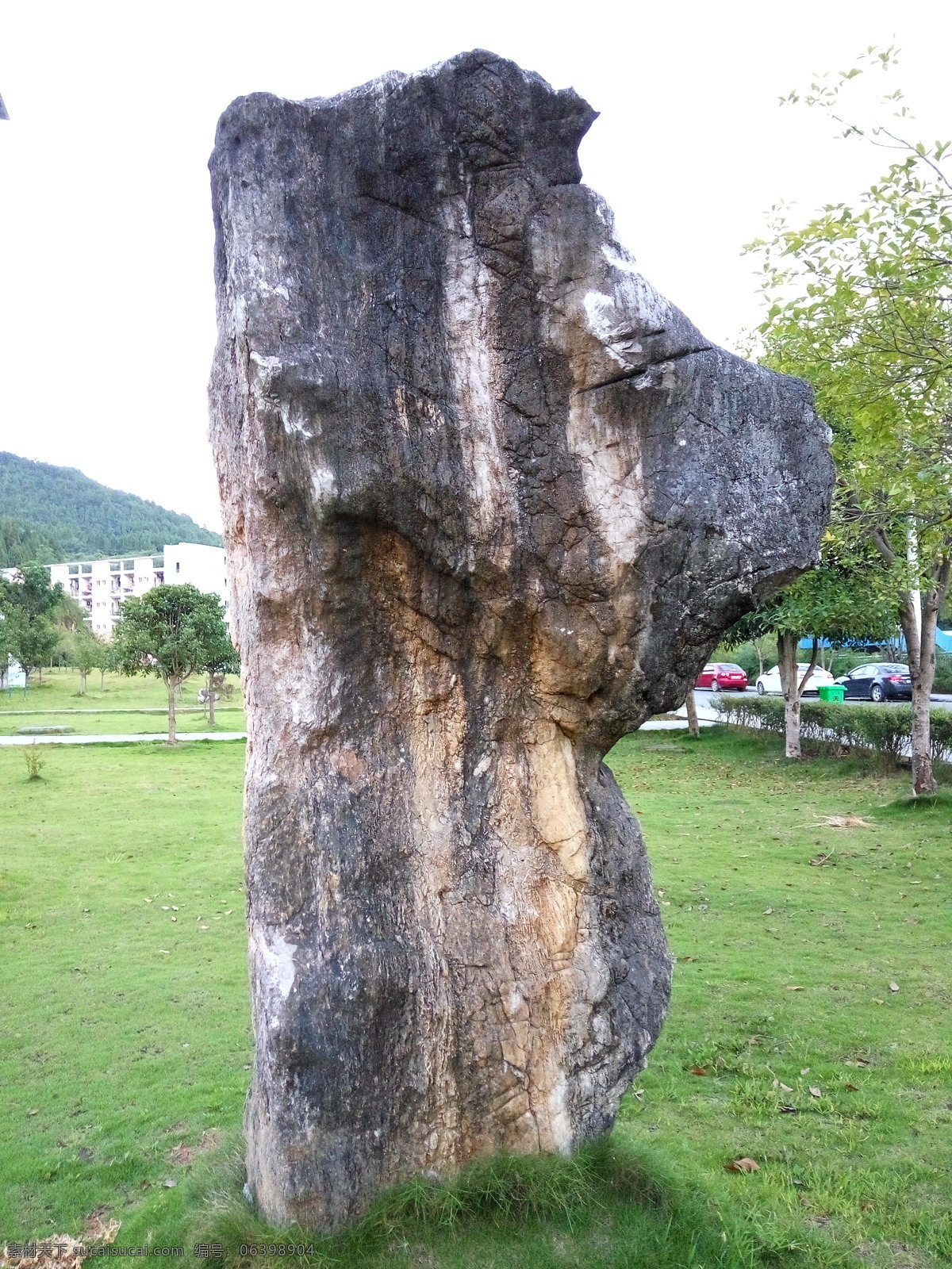 景观石 公园 草地 草坪 景观 石头 狗头 狗头状 形状 石灰石 摄影图片 建筑园林