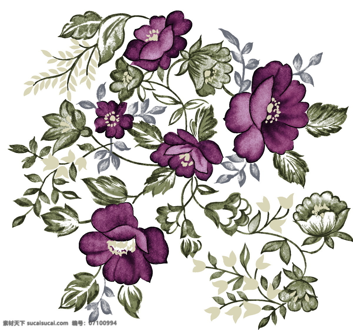 花草插图 花纹 图案 花纹图案 设计素材 花草图案 植物插图 书画美术 白色