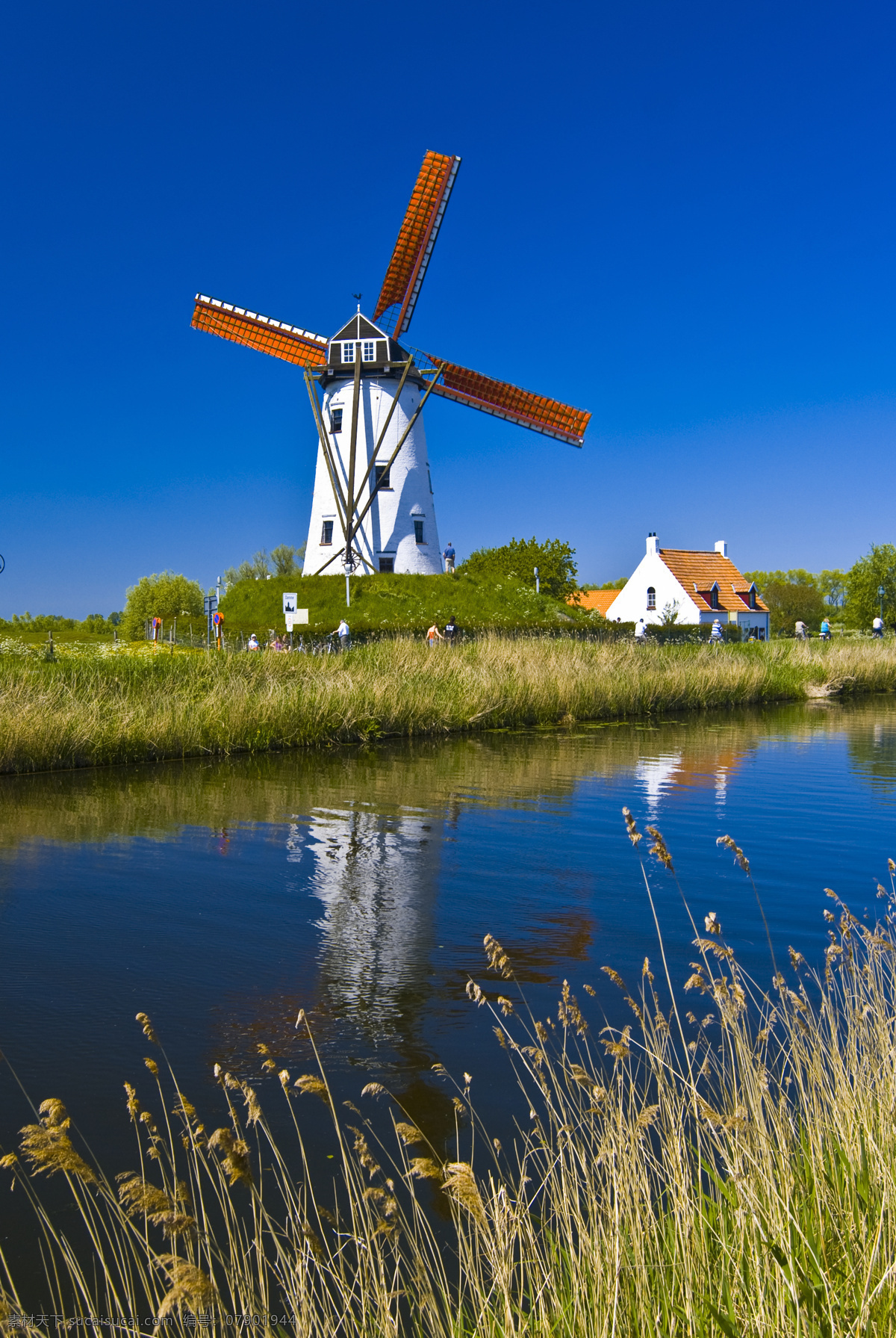 荷兰风车 荷兰 风车 蓝天 绿草 溪流 田园 田野 风光 欧洲 乡村 农场 自然景观 自然风景