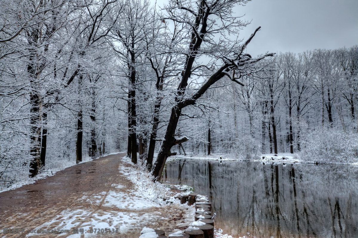 冬季森林 冬季 冬天 雪景 美丽风景 景色 美景 积雪 湖泊 雪地 森林 树木 自然风景 自然景观 灰色