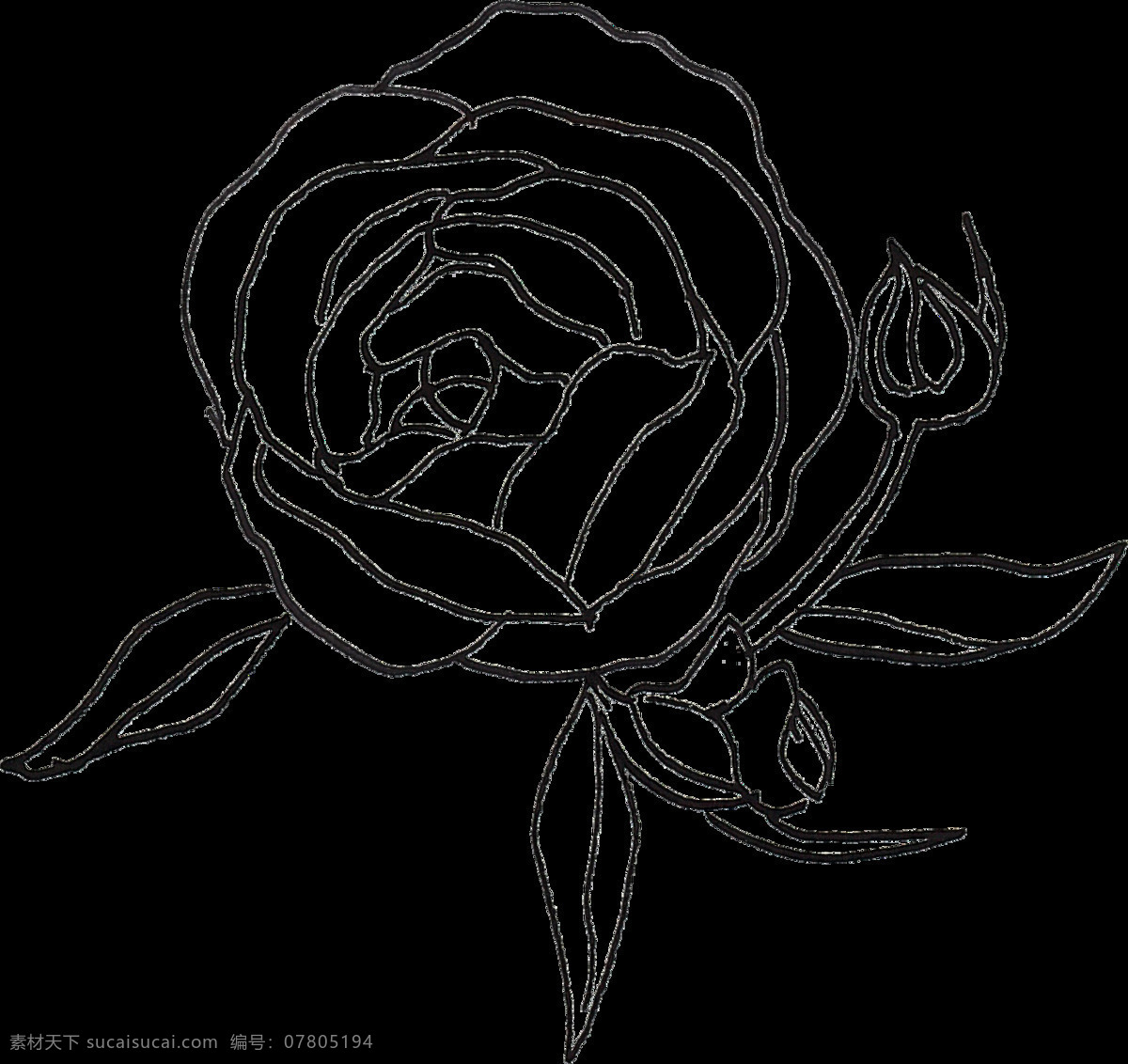 黑色 梦幻 枝叶 免 扣 合集 插画 黑白 花朵 花蕊 卡通 小麦 植物