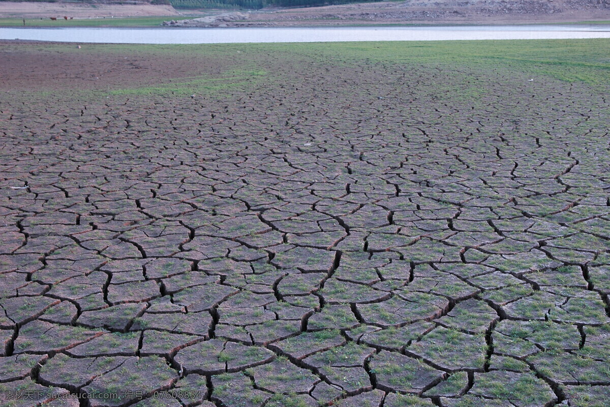 干涸的大地 干旱 环境恶化 龟裂 土壤干旱 大地之痛 自然景观 自然风景