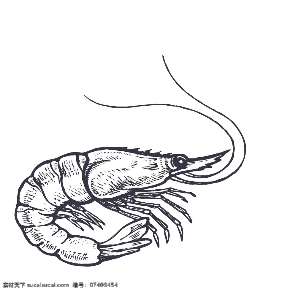 餐饮 食物 插画 元素 鱿鱼 扇贝 螃蟹 龙虾 鱼 海鲜插画 海洋生物 线稿图 复古插画 简笔插画 线条插画 餐饮插画元素 肉类插画 动漫动画