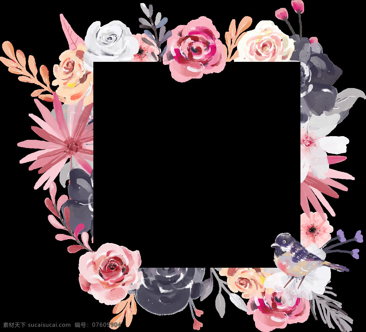 手绘 正方形 花卉 画框 透明 白色 粉红色 黑色 菊花 玫瑰花 免扣素材 水彩 透明素材 装饰图案
