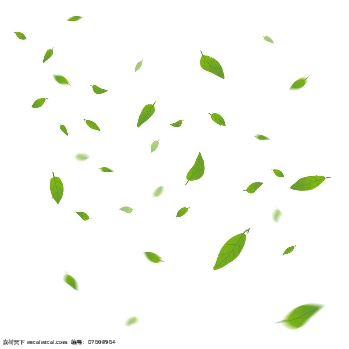 植物 树叶 叶子 漂浮 气氛 电商 装饰 免 抠 商用 花瓣 免抠 可商用