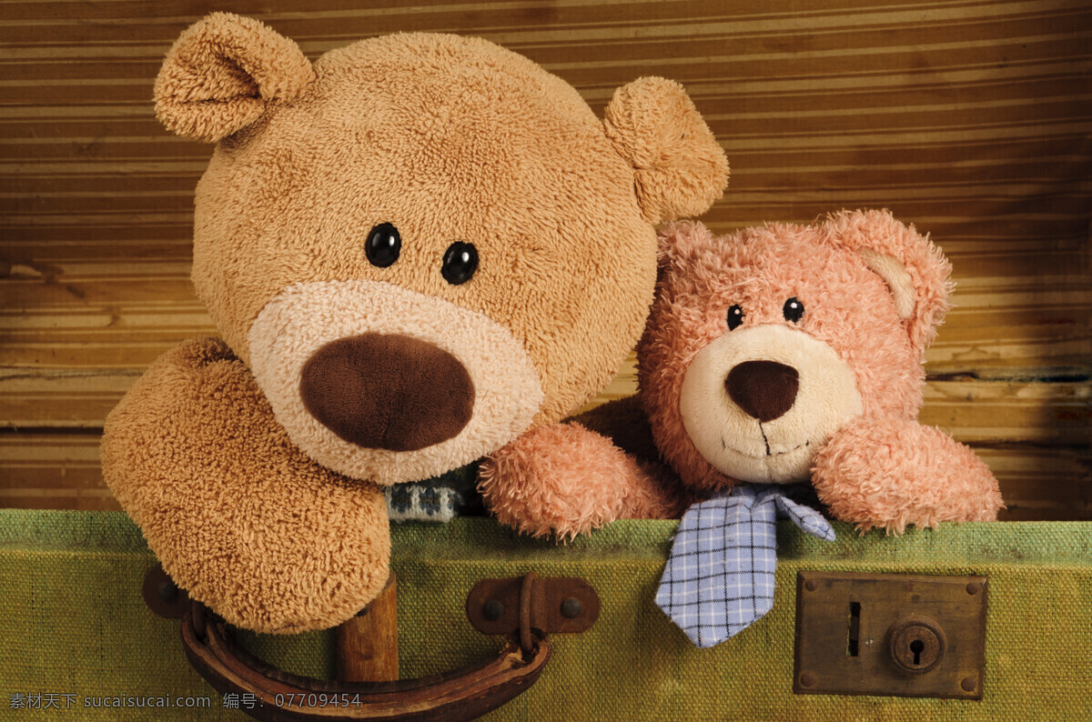 泰迪熊 可爱 两只 综色 打领带 娱乐休闲 生活百科