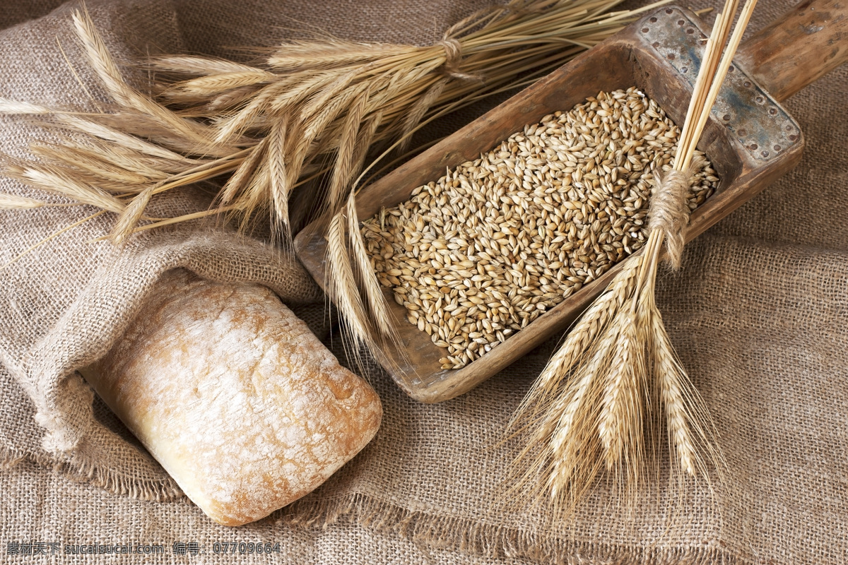 面包和小麦 粗粮 面包 小麦 粮食 有机 营养 餐饮美食 食物原料