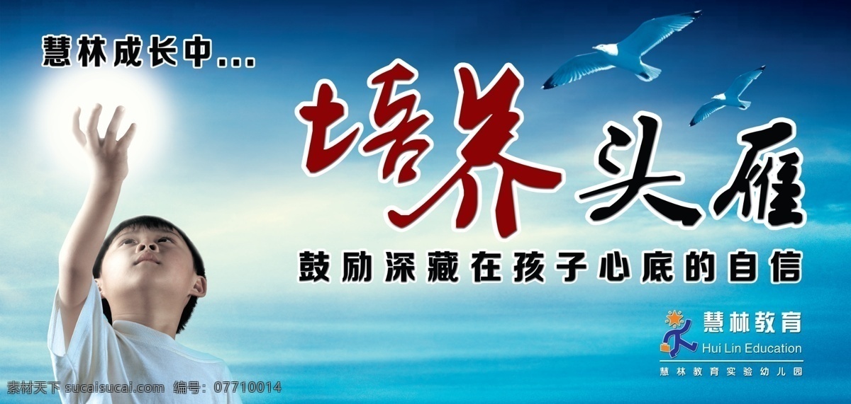 培养头雁 大海 励志展板 艺术字 天空 大雁 学校文化 源文件 分层 广告设计蒙版 慧林教育 教育背景 底纹 展板模板