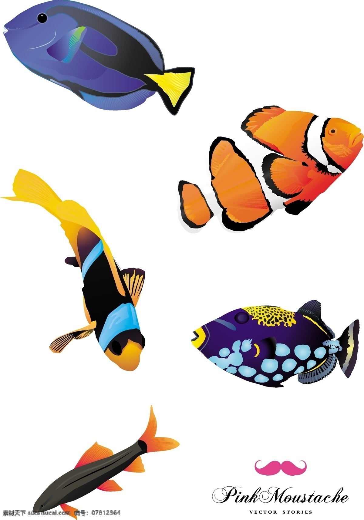 色彩斑斓 海洋鱼类 插图 蓝色 橙色