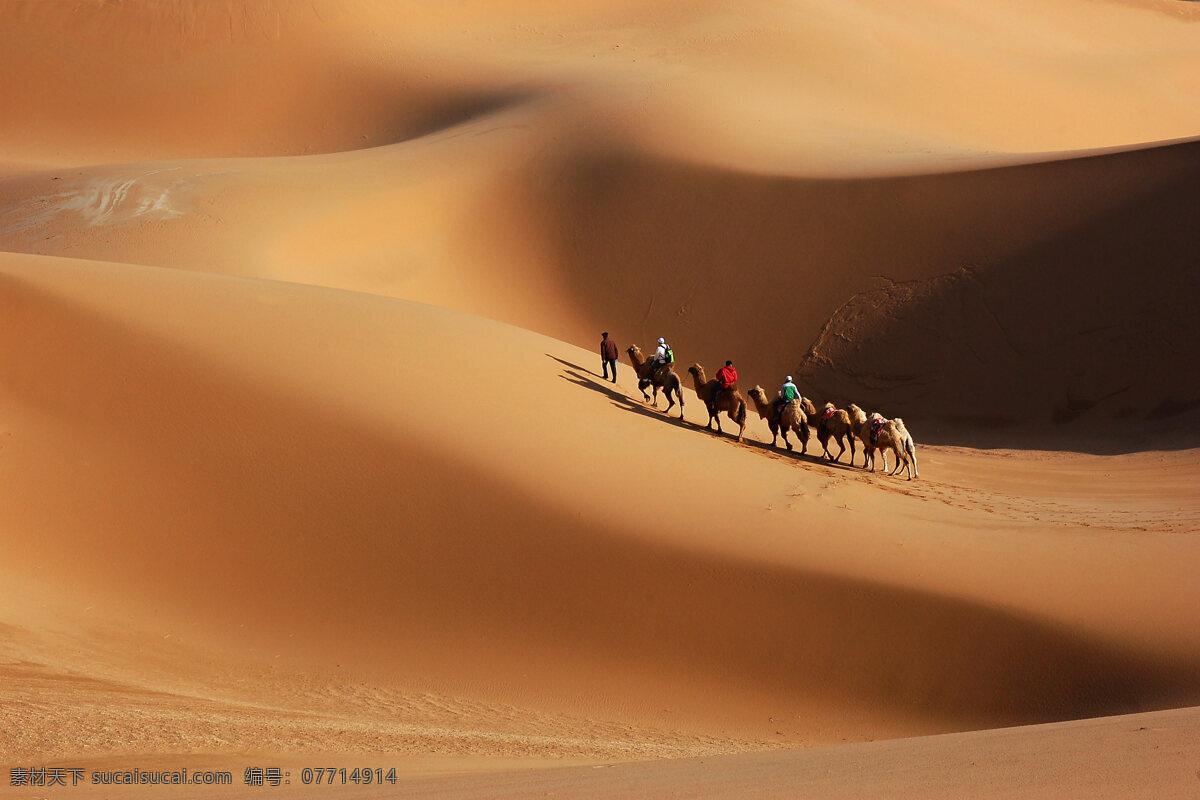 沙漠 沙漠风光 沙漠丽景 沙漠摄影 沙漠风景 旅游摄影 自然风景