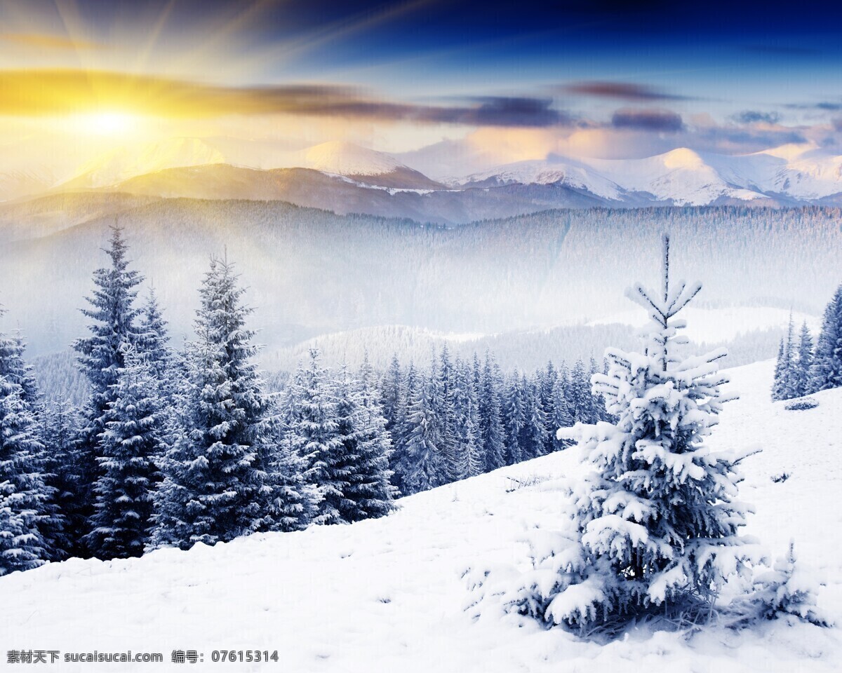 长白山 冰雪山林景色 冬季景色 冰雪风光 雪景 冰雪奇缘 东北林区 雪乡 自然景观 自然风景