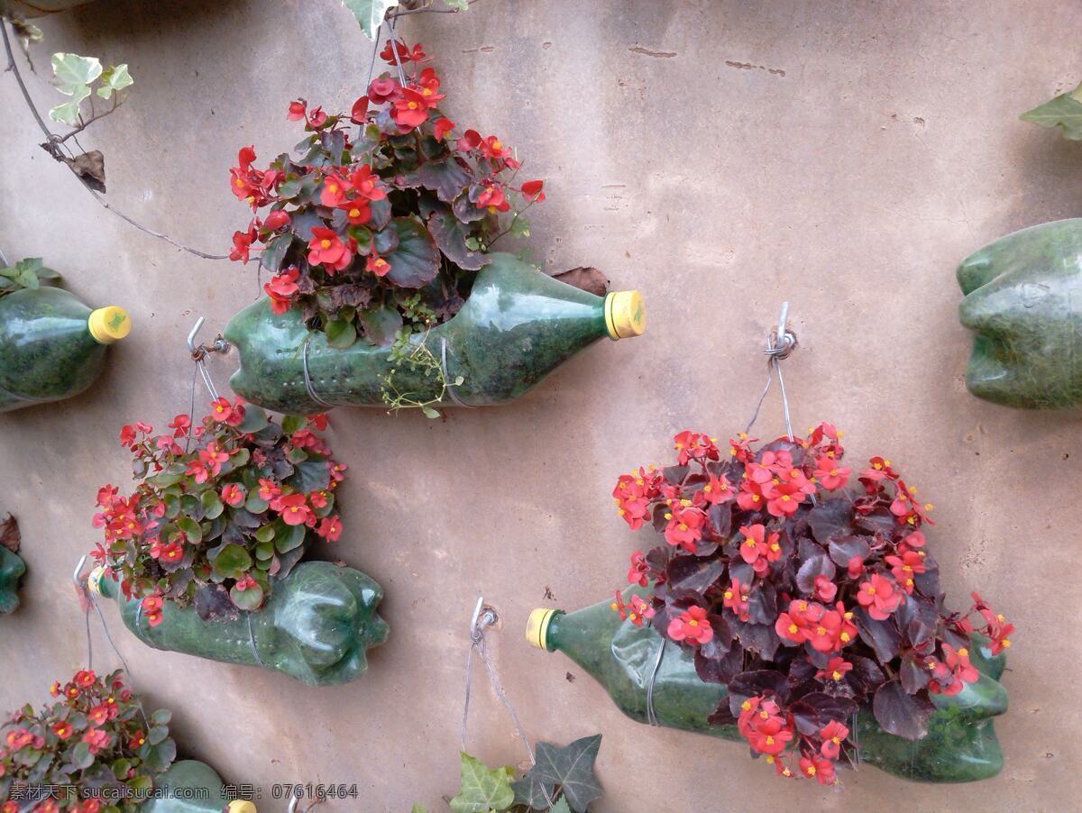 创意盆栽 创意 盆景 花卉 盆栽 植物 塑料花盆 废物利用 diy花盆 生物世界 花草