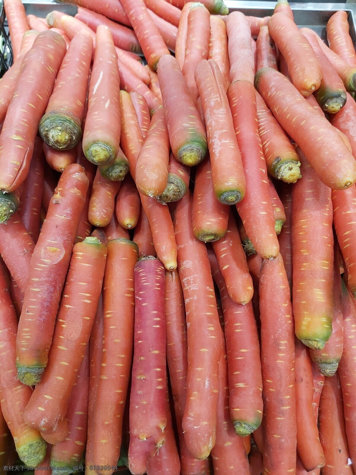 萝卜 根部 红萝卜 甘荀 农家胡萝卜 生态胡萝卜 绿色胡萝卜 生物世界 蔬菜