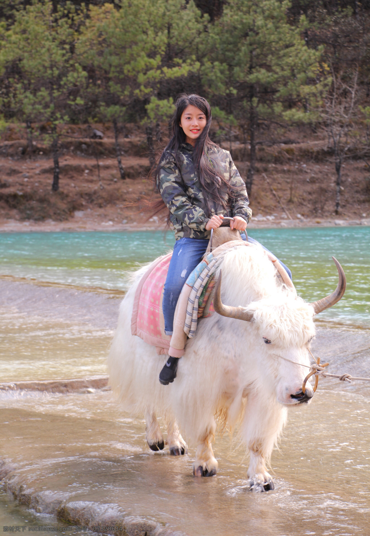 姑娘骑牦牛 壮族 姑娘 民族 服装 传统 美女 牦牛 高清图片 人物图库 女性女人