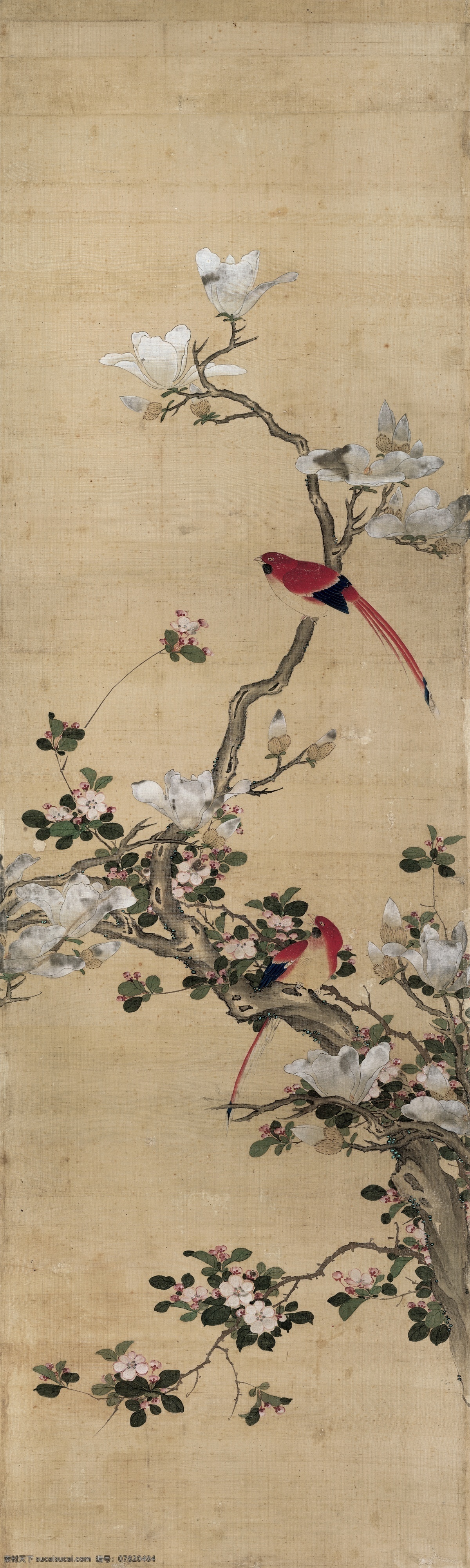 新中式花鸟 工笔花鸟 新中式 禅意 花鸟画 花鸟图 中式手绘 古典 国画 花卉 玄关装饰画 玄关画 玄关背景 沙发 客厅 书房 卧室 餐厅 装饰画 无框画 圆形装饰画 花鸟挂画 背景 油画 个性装饰画 抽象 风景 水彩 艺术 水彩风景 北欧风景 抽象艺术 艺术水彩 抽象水彩 北欧抽象 装饰画抽象