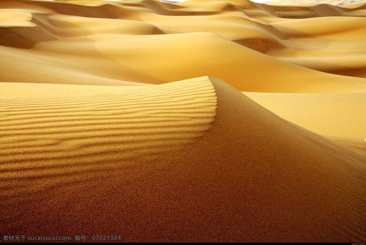 沙丘 沙漠 大漠 沙场 沙尘 沙尘暴 沙 沙颗粒 沙粒 沙砾 黄沙 沙堆 沙滩 沙子 干旱 骆驼 蓝天 白云 一望无垠 沙漠摄影 自然风景 自然景观
