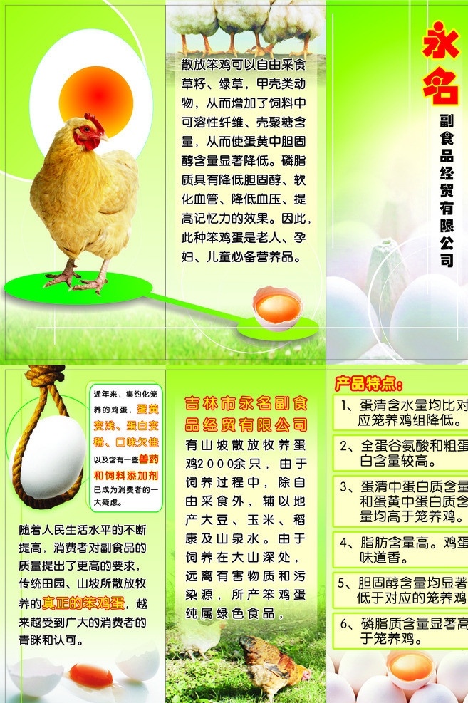 养鸡厂宣传单 养鸡厂 宣传单 三折页 笨鸡蛋 散养 溜达鸡 dm宣传单 矢量
