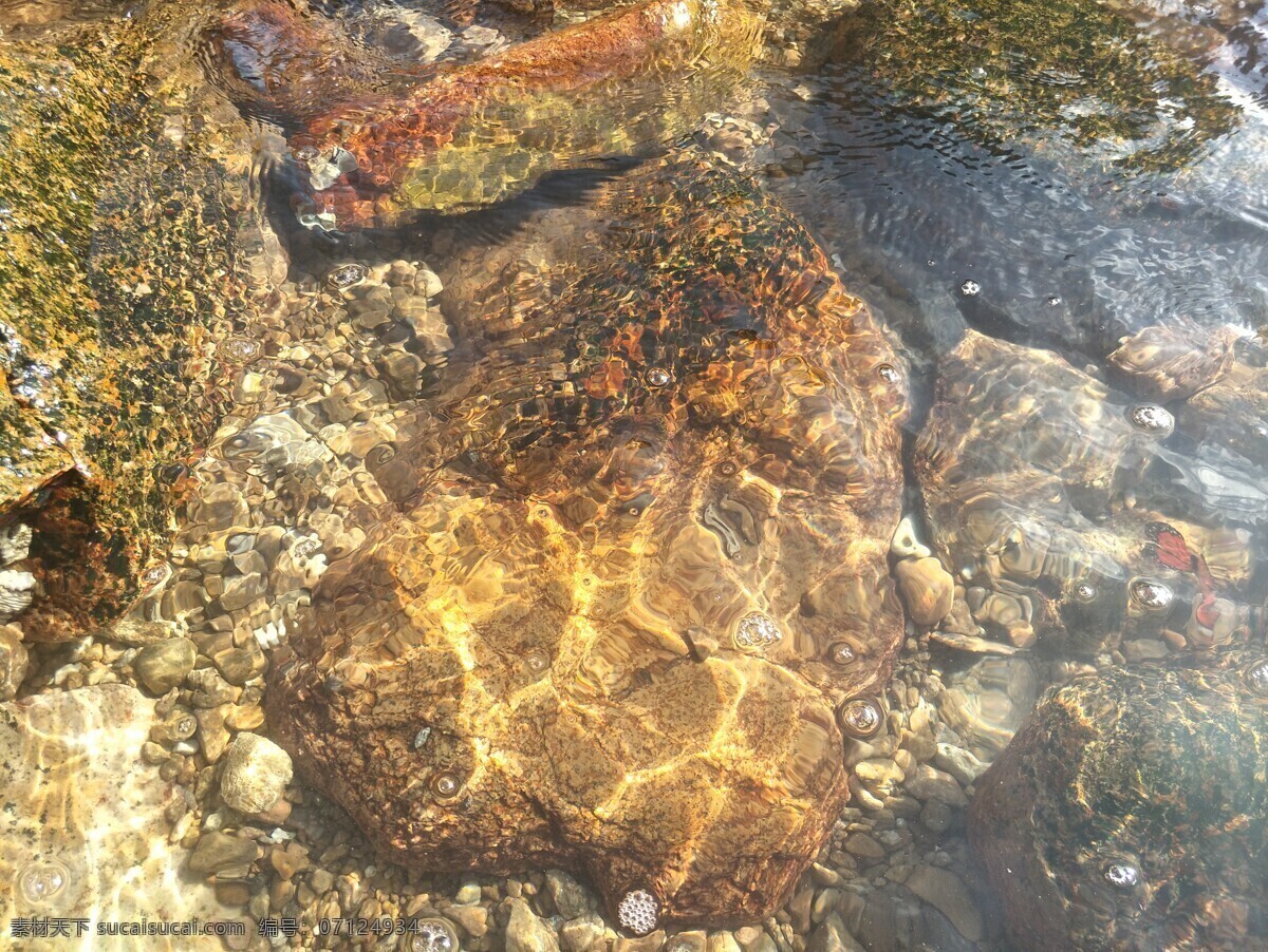 清澈见底 海水 石头 斑驳 水波 光波 水 自然景观 自然风景