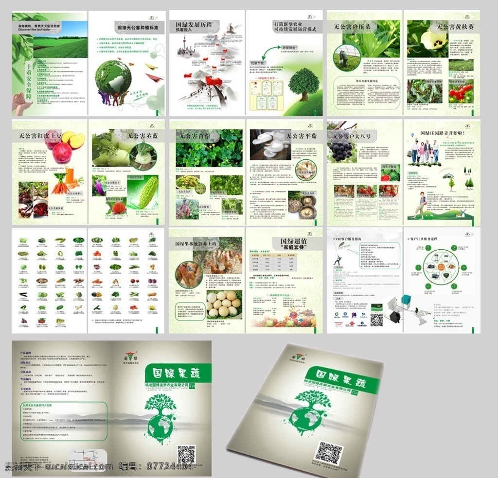 疏菜 水果 企业 画册 企业画册 绿色主题 环保 高档产品画册 画册设计 矢量