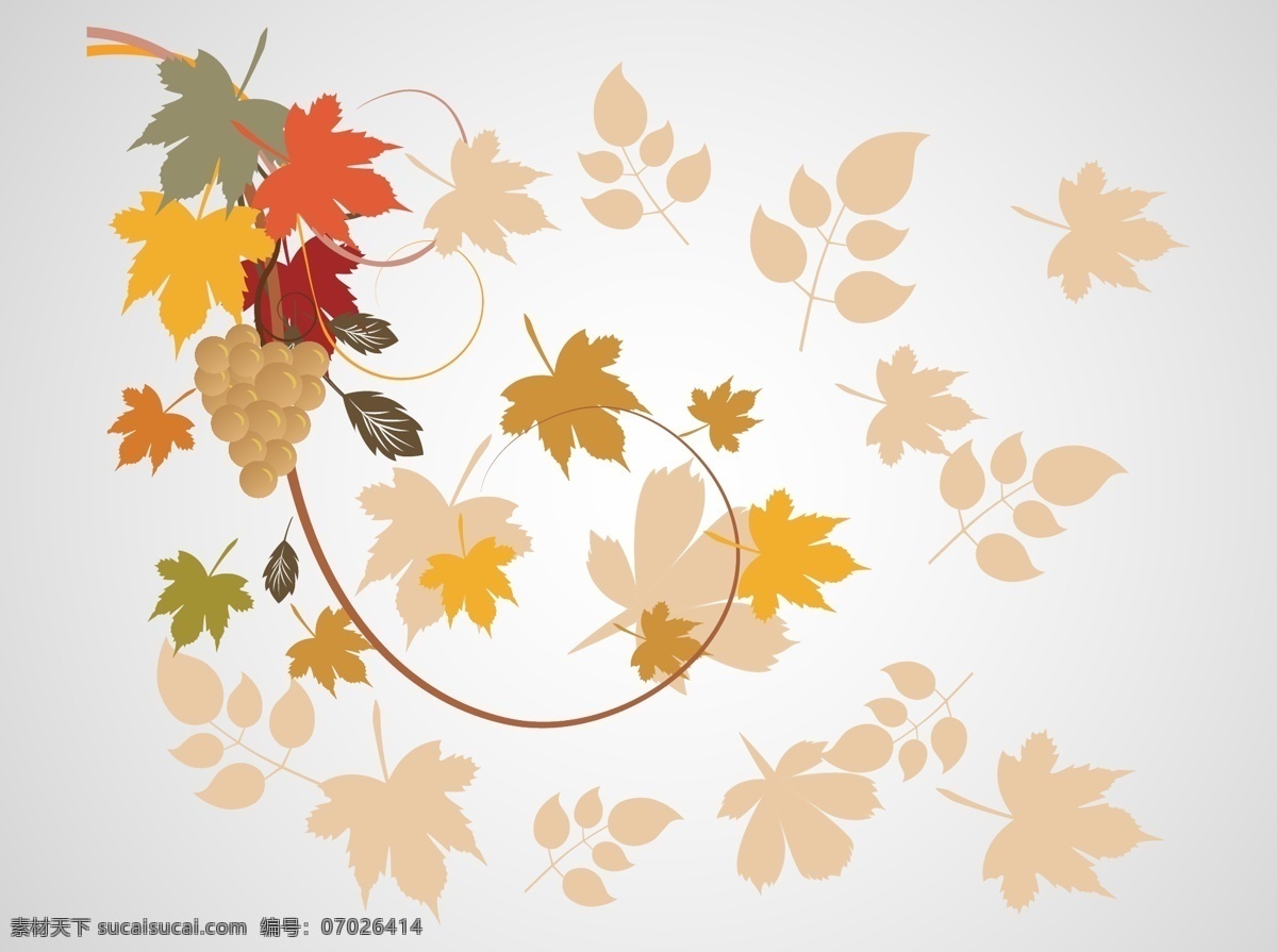 秋天 背景 图像 自然 树叶 植物 装饰 漩涡 水果 季节 葡萄 螺旋