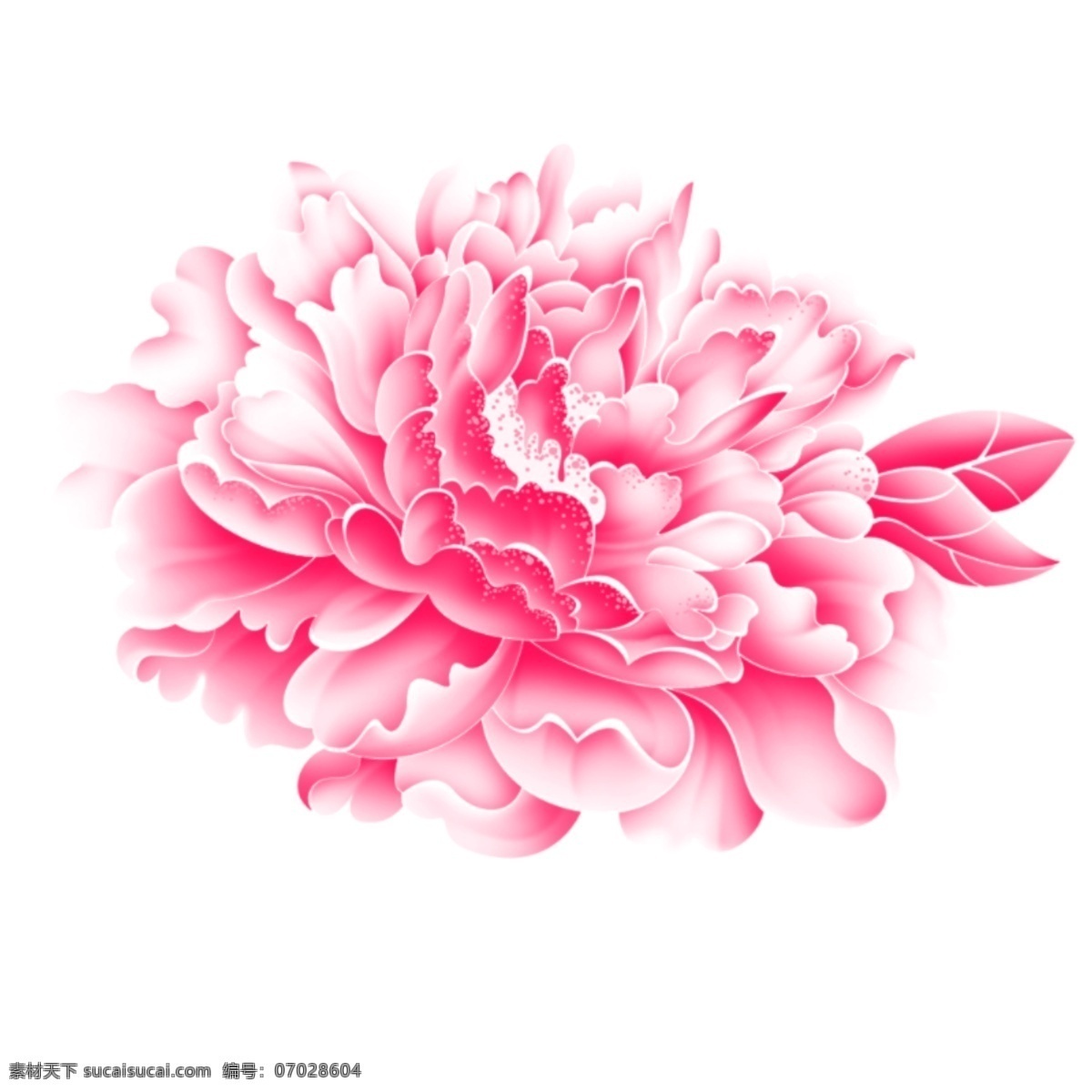 分层 底纹边框 花边花纹 牡丹 牡丹花矢量 中秋素材 牡丹白描素材 牡丹花设计 牡丹花白描 psd源文件