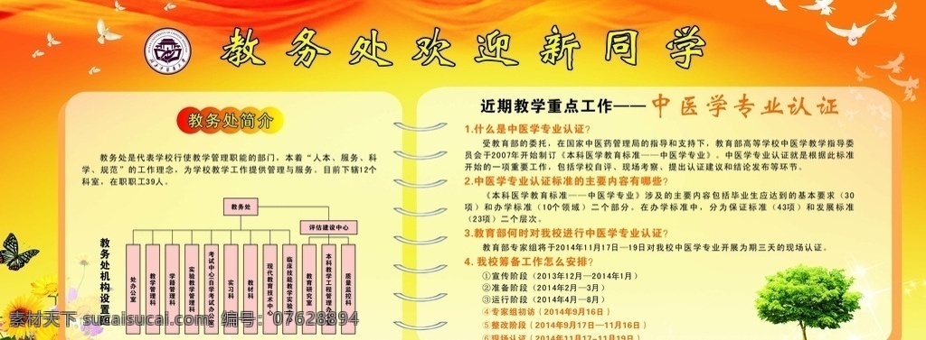 学校 教务处 迎新 橱窗 海 中医药大学 海报 宣传 展板