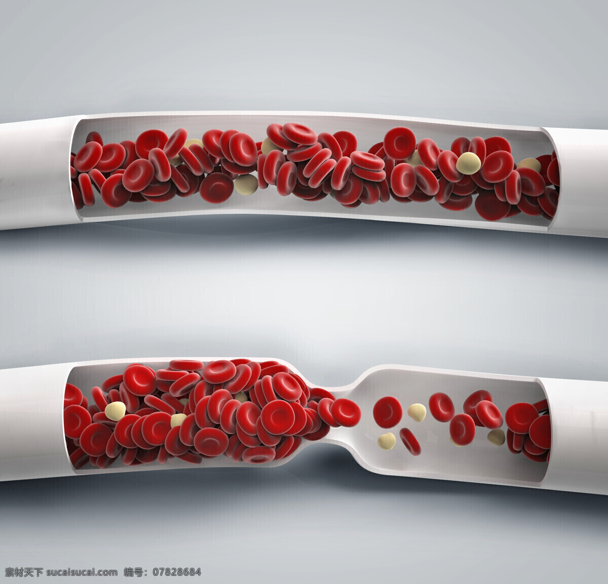 唯美 炫酷 细胞 3d 立体 红细胞 人体细胞 血液细胞 3d设计