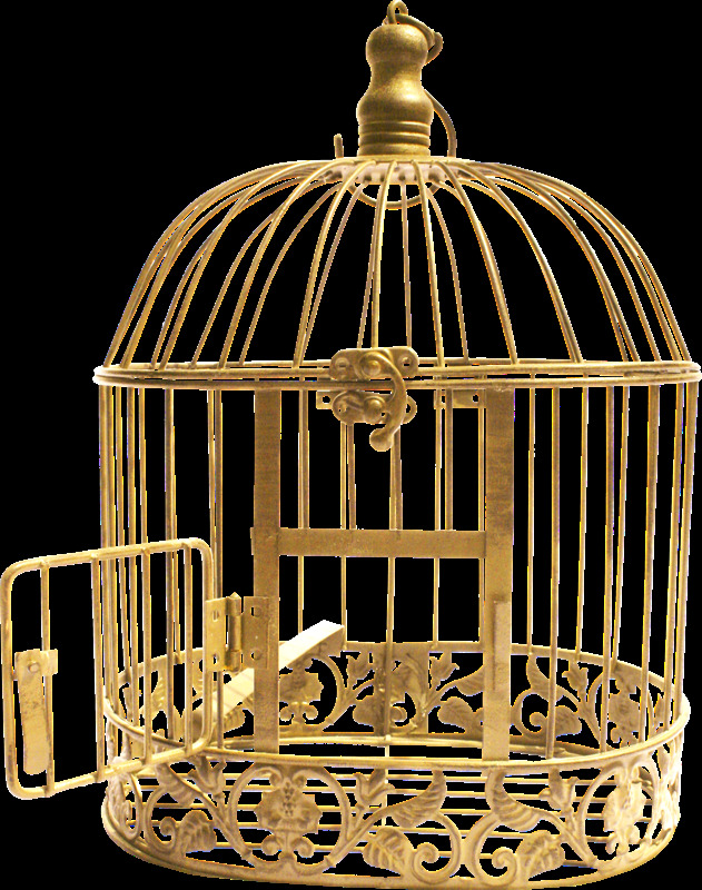 高贵 风格 金色 鸟笼 产品 实物 产品实物 高级风格 金贵 金色鸟笼 笼子