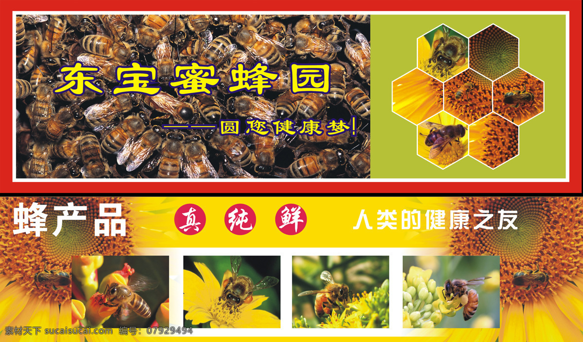 蜂产品 广告 保健品 纯天然 蜂蜜 蜂窝 蜜蜂 采蜜 健康之友