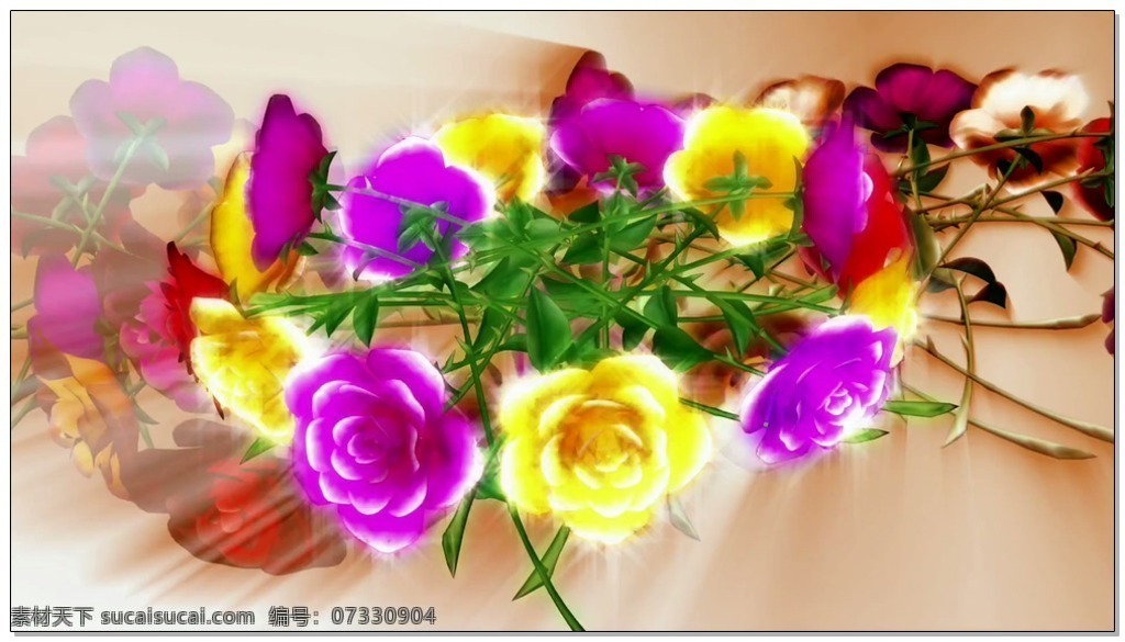 漂亮 鲜花 视频 高清视频素材 视频素材 动态视频素材 送礼 订婚