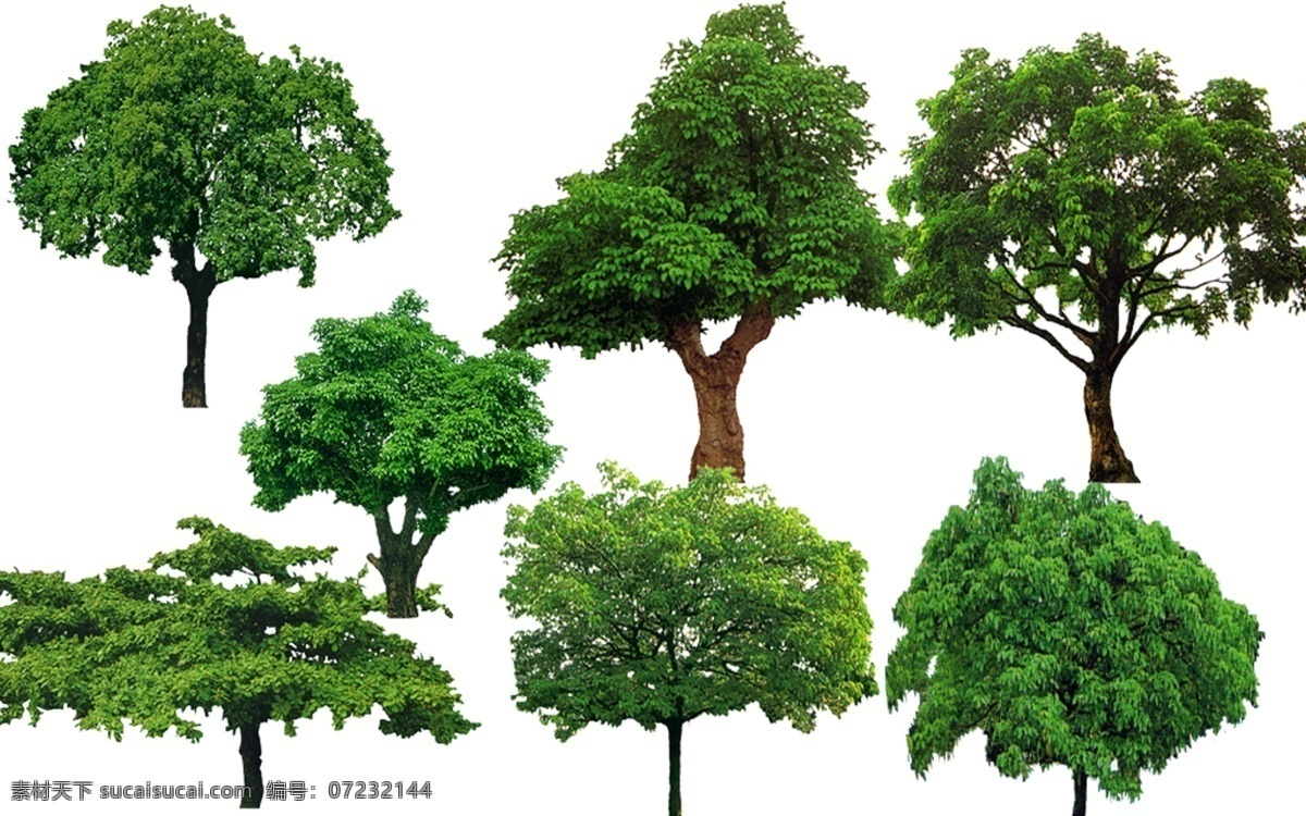 绿化树木 园林设计素材 园林植物素材 园林规划设计 景观设计 景观 树木 园林 景观树木 绿化 环境设计 植物 鸟瞰图 配景素材 效果图素材 环艺设计