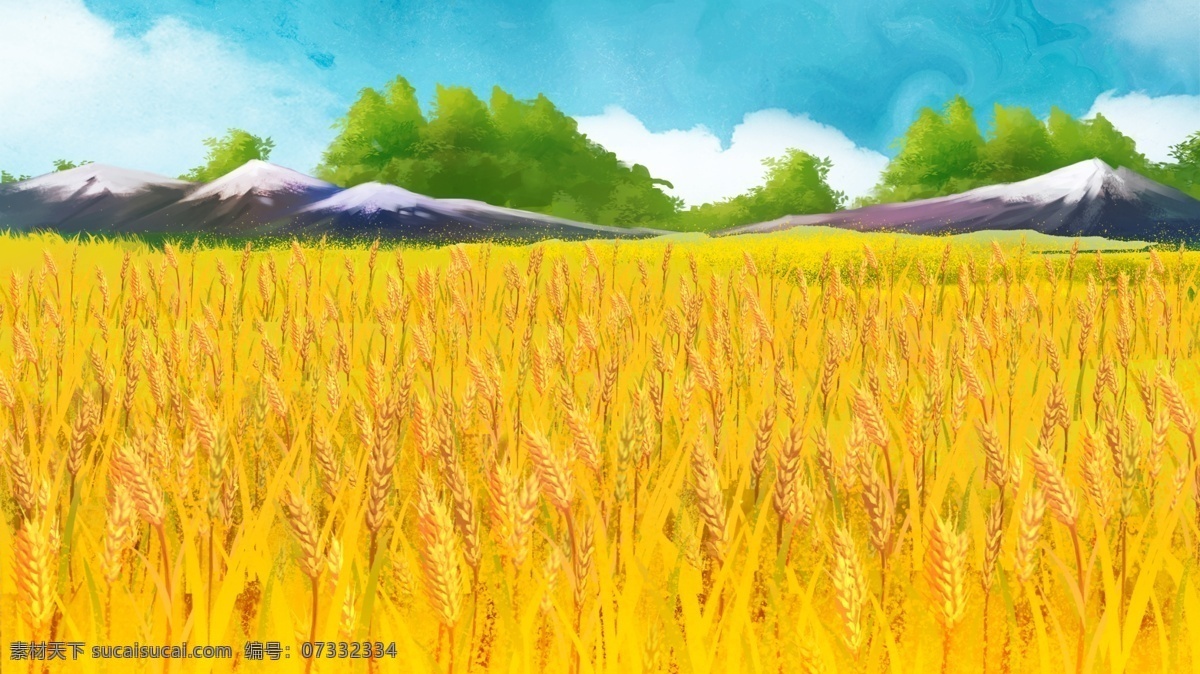 卡通 手绘 小满 节气 小麦 背景 绿色背景 植物背景 草地背景 绿地背景 蓝天白云 麦穗 农作物
