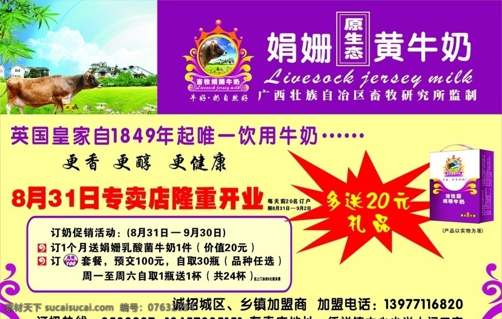 娟姗黄牛奶 奶 牛奶 黄牛奶 dm宣传单 矢量