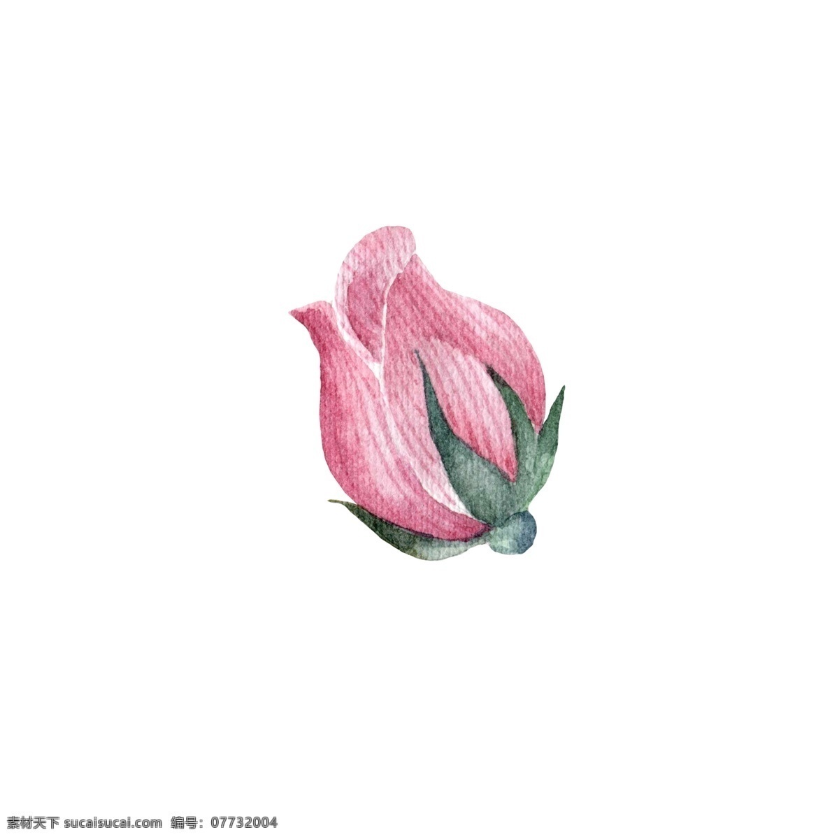 粉色 玫瑰 装饰 肉色 花朵 矢量素材 设计素材 平面素材