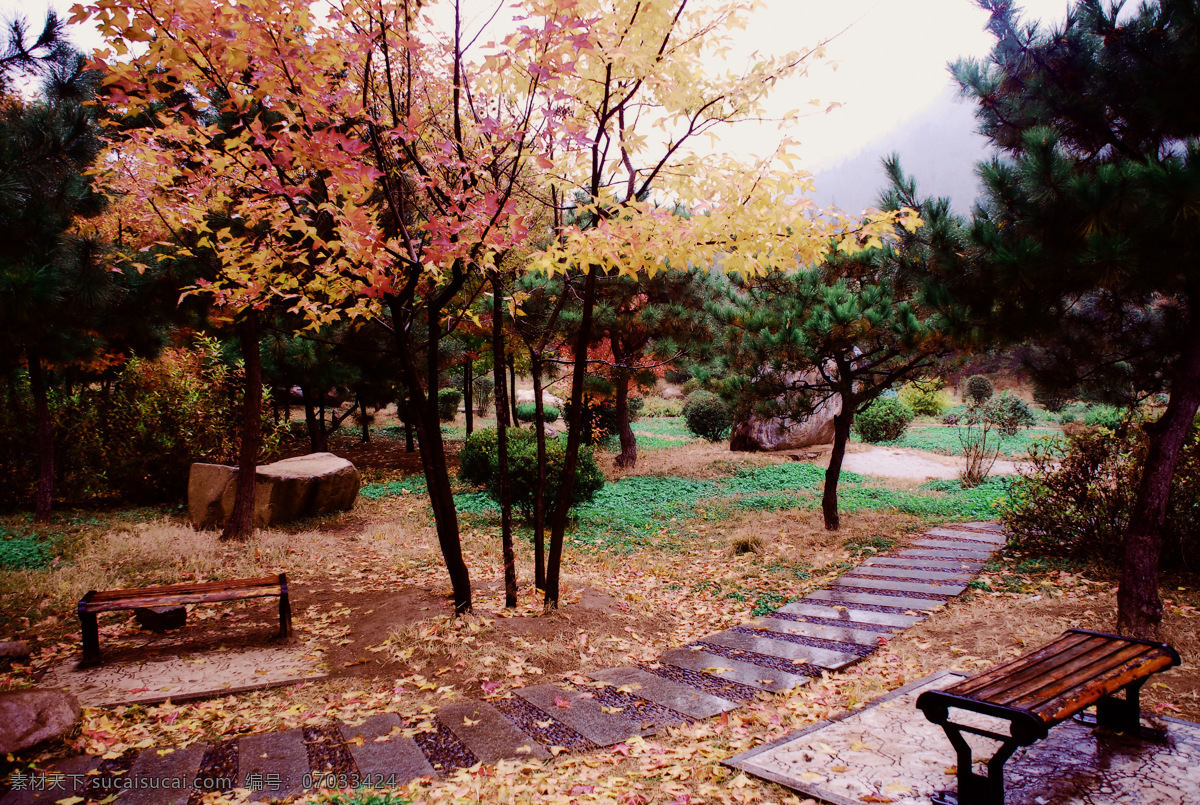 秋雨 中 石板路 初秋 下雨 凳子 枫香树 红叶 黄叶 绿树 缤纷落叶 江山无限 田园风光 自然景观