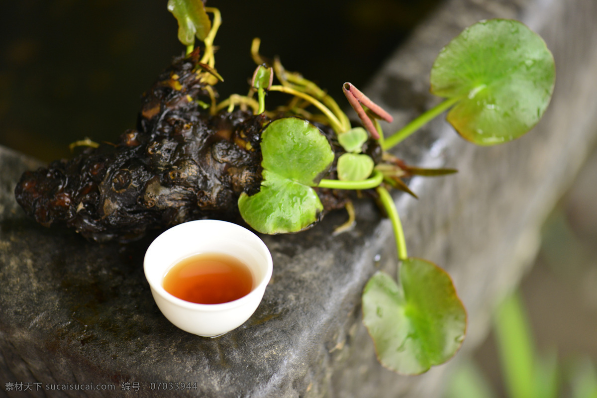 不二 茶 肆 大红袍 不二茶肆 武夷岩茶 茶叶 乌龙茶 饮料酒水 餐饮美食