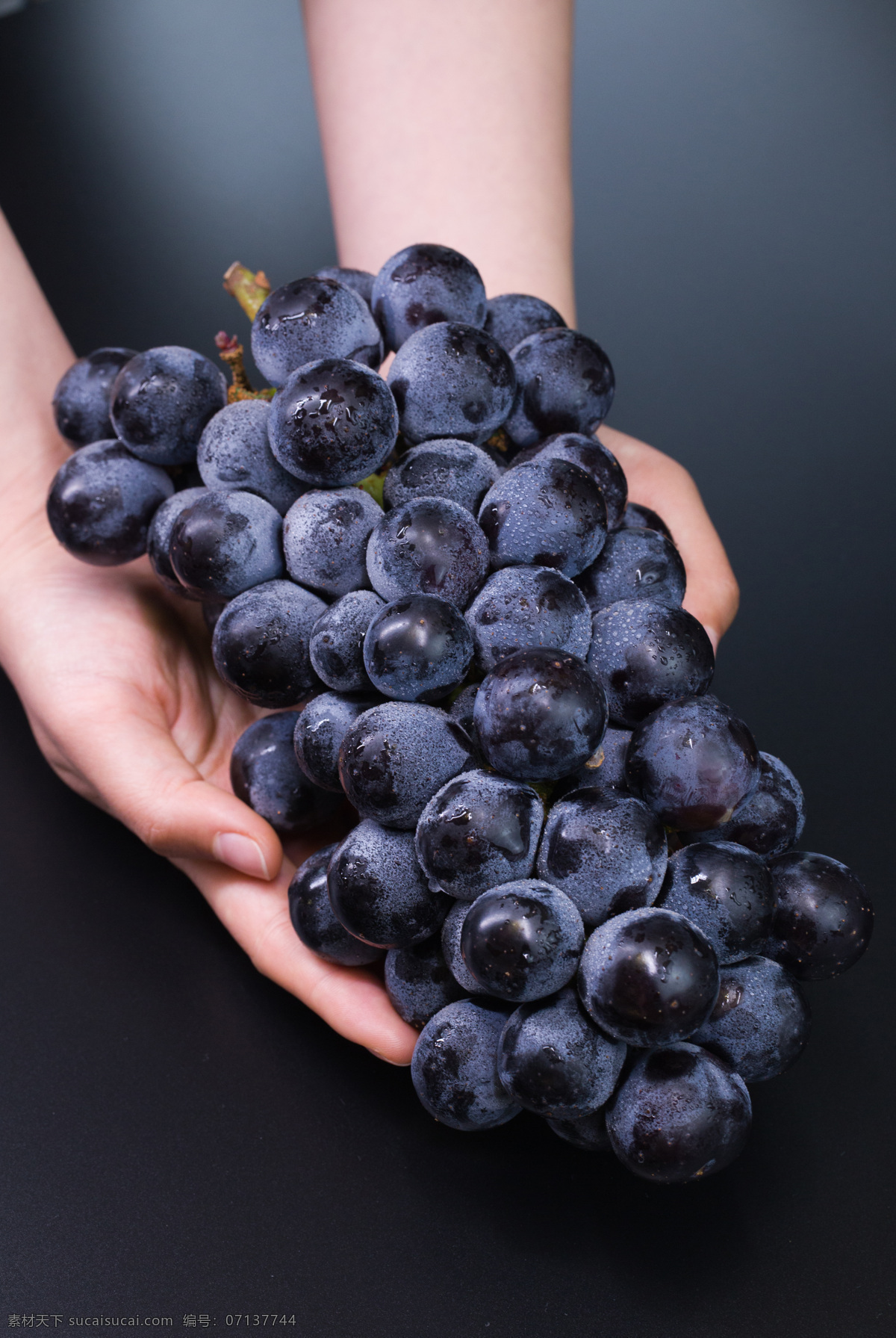 葡萄素材 葡萄 紫色 白色 绿色 水果 生物世界